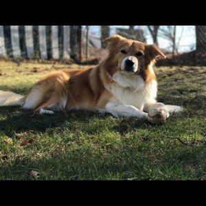 Meet your Posher, Joanne